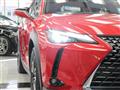 2025 Lexus Other
