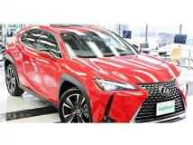 2025 Lexus Other