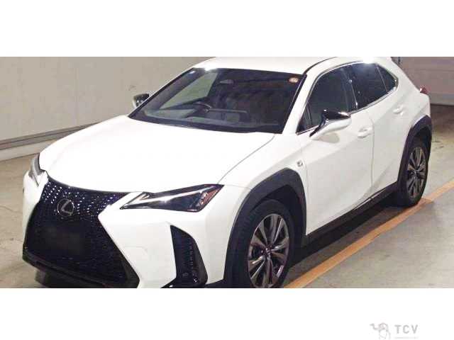 2024 Lexus Other
