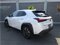 2024 Lexus Other