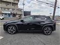 2024 Lexus Other