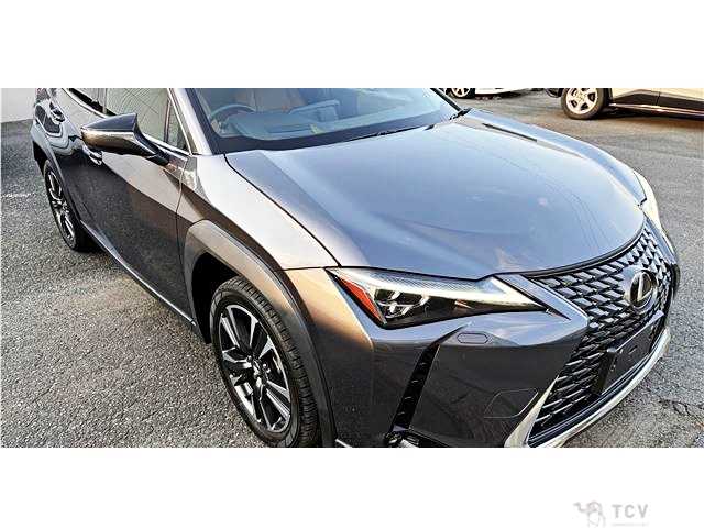2024 Lexus Other