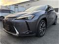 2024 Lexus Other