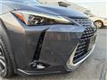 2024 Lexus Other