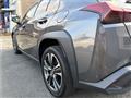 2024 Lexus Other