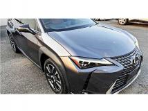2024 Lexus Other