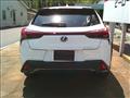 2024 Lexus Other