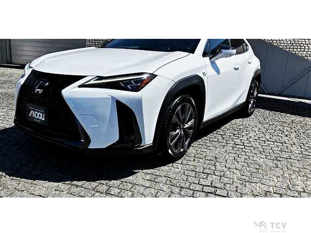 2024 Lexus Other