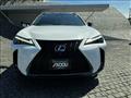 2024 Lexus Other