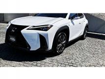 2024 Lexus Other