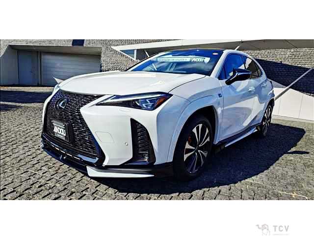 2024 Lexus Other