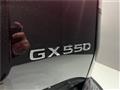 2026 Lexus Other