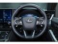 2025 Lexus Other