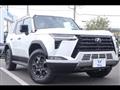 2025 Lexus Other
