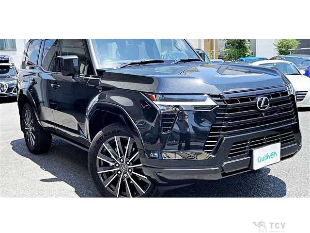 2025 Lexus Other