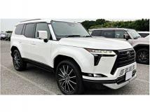 2025 Lexus Other