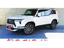 2025 Lexus Other
