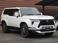 2025 Lexus Other