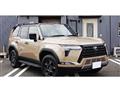 2025 Lexus Other