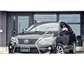 2013 Lexus RX