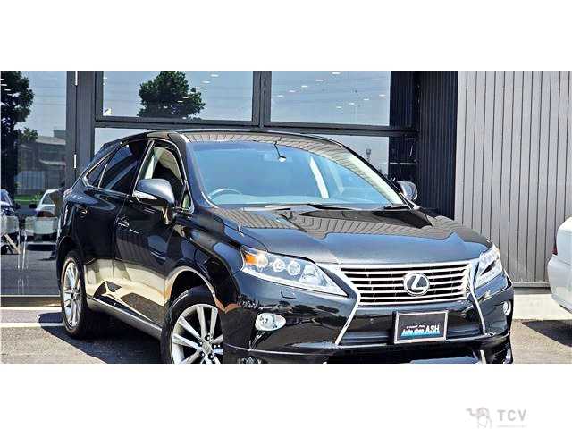 2013 Lexus RX