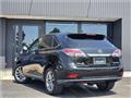 2013 Lexus RX