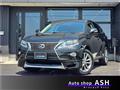 2013 Lexus RX