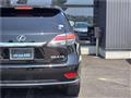 2013 Lexus RX