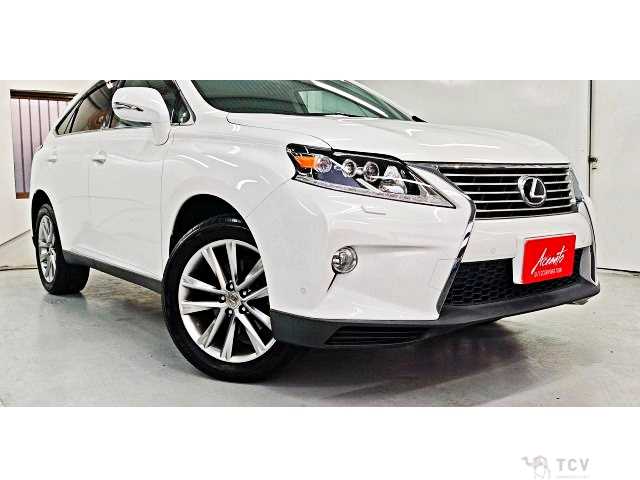 2013 Lexus RX