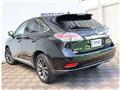 2013 Lexus RX