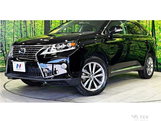 2013 Lexus RX