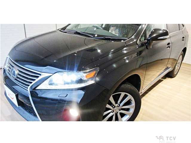 2013 Lexus RX