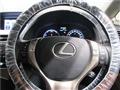 2013 Lexus RX
