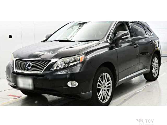 2010 Lexus RX