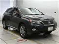 2010 Lexus RX