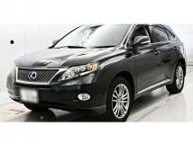 2010 Lexus RX