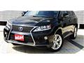 2009 Lexus RX