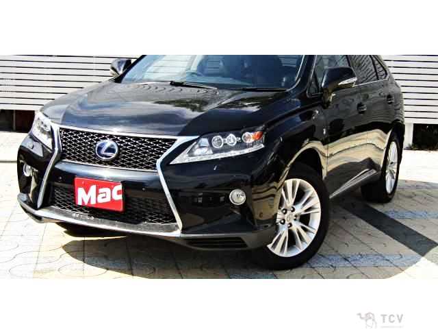 2009 Lexus RX