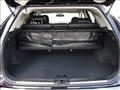 2009 Lexus RX