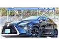 2019 Lexus RX