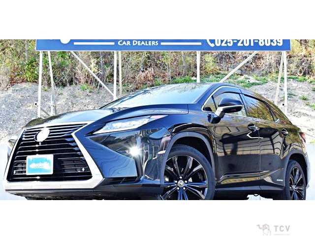 2019 Lexus RX