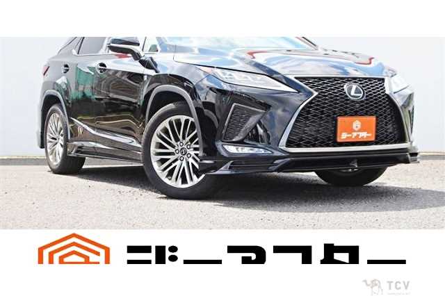 2019 Lexus RX