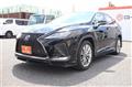 2019 Lexus RX