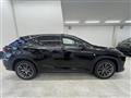2019 Lexus RX