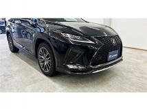 2019 Lexus RX