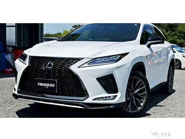 2019 Lexus RX