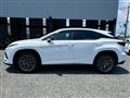 2019 Lexus RX