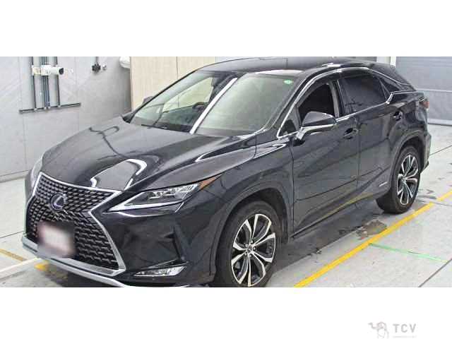2019 Lexus RX