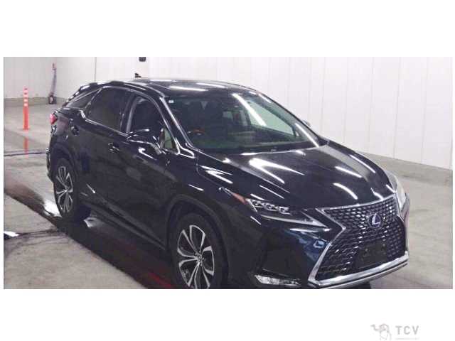 2019 Lexus RX