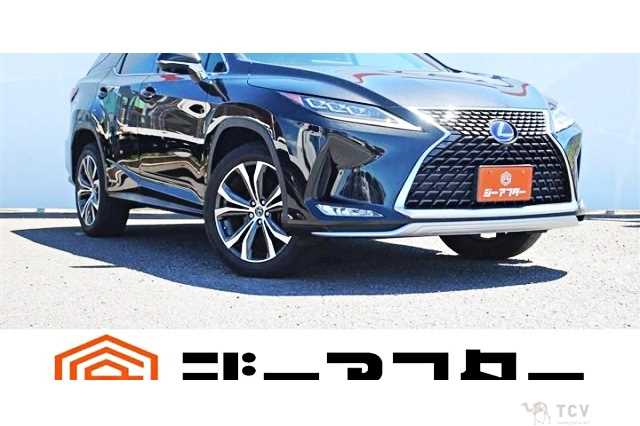 2019 Lexus RX